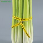 Vegetable Twist Tie Factory - OEM 5/16inch Plastic Paper Tie