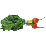 Paper Label Twist Tie Supplier - OEM LOGO Printed Fruit Vegetable