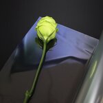 Wrap Roll Factory - OEM Transparent BOPP Stretch Film