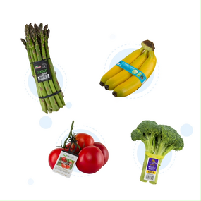 Rubber Band with Tag Manufacturer - OEM 16# Custom Printed Band