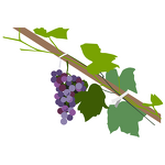 Twist Band Tie Supplier - OEM Custom Printed Vegetable Fruit