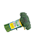 PUL Label Twist Tie Factory - OEM Printed Paper Label Tie