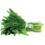 Wired Twist Ties Supplier - OEM 8" Branded Logo Printing