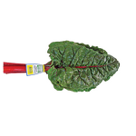 Paper Label Twist Tie Supplier - OEM LOGO Printed Fruit Vegetable