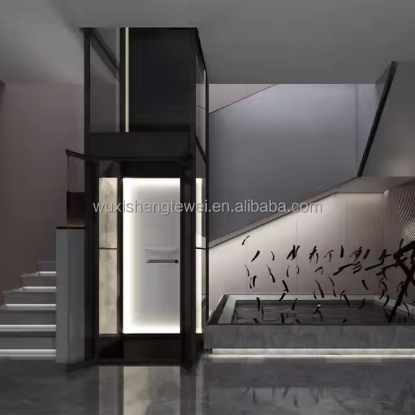 Home Elevators Supplier - Residential 2-5 Floors Indoor Outdoor Hydraulic Ascensor