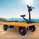 Electric Flatbed Truck Manufacturer - Heavy Loading Transport Cart 4 Wheels