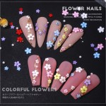 Nail Storage Box Manufacturer - OEM Clear Plastic Container