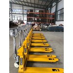 Pallet Truck with Scale Manufacturer - OEM 2ton 3ton Electric Jack