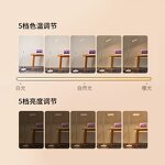Eye Caring Floor Lamp Supplier - OEM Wholesale 5 Modes 5 Brightness