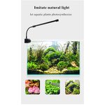 LED Aquarium Light Supplier - OEM Manufacturer Direct Button Switch