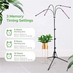 Tripod Plant Growing Light Factory - OEM Creative 10 Level Dimming Timing