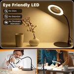 Magnifying Desk Lamp Factory - OEM Newly Upgraded 10X 15X HD Lens