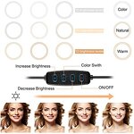 Ring Light Supplier - OEM Fashion 10 Inch 12W 3 Lighting Modes
