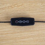 Led Plant Grow Light Manufacturer - OEM Factory Red Blue Light Timing