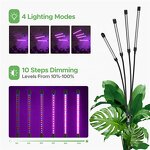Tripod Plant Growing Light Factory - OEM Creative 10 Level Dimming Timing
