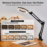 Desk Lamp with Magnifier Supplier - OEM Swing Arm 5 Modes 2-in-1