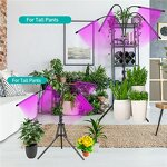 Tripod Plant Growing Light Factory - OEM Creative 10 Level Dimming Timing