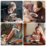Desk Lamp with Magnifier Supplier - OEM Swing Arm 5 Modes 2-in-1
