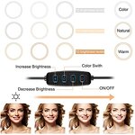 Selfie Fill Light Manufacturer - OEM 10 Inch Desk Lamp 3 Modes 10 Brightness