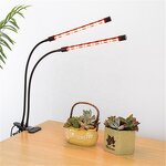 Full Spectrum Grow Light Supplier - OEM High Quality 20W Dual Heads