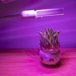Professional Indoor Grow Light Supplier - OEM 50W Dimmable Full Spectrum Timer