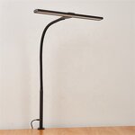 Clamp Desk Lamp Factory - OEM Wholesales Touch Dimmable Flexible