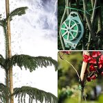 Nylon Tie Strap Manufacturer - OEM Gardening Manual Plant Binding