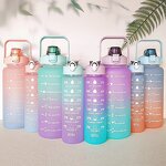 Water Bottle Factory - OEM 2000ML Frosted Gradient Large Capacity