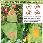 Insect-Proof Grow Bags Manufacturer - OEM Explosive Fruit Protective Netting
