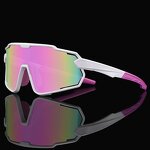 Goggles Supplier - OEM Custom Logo Black Biking Polarized Shades