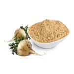 锻炼前粉末工厂-代工乳清蛋白香草味浓缩物