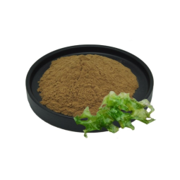能量包供应商-批发健康补充剂补充日常能量男性