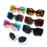 Colorful Cat Eye Sunglasses Supplier - Wide Leg Plastic for Women and Men Vintage Frames