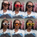 Big Round Sunglasses Factory - New Plastic Frame Vintage Oversized Oval for Women and Men