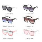 Vintage Plastic Sunglasses Supplier - Latest One Piece Lens Square Oversized Luxury for Women