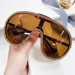 Plastic Frame Sunglasses Supplier - New One-piece Lens Vintage Oversized Diamond for Women