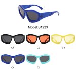 Cat Eye Sunglasses Factory - New Big Frame Women Fashion Vintage Y2K for Female