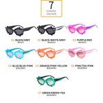 Flower Frame Sunglasses Supplier - High Fashion Irregular Cat Eye for Women Retro Party
