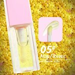 Fruity Lipgloss Manufacturer - OEM China Vendor No Brand Custom