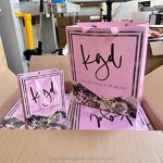 Biodegradable Gift Bag Factory - OEM Custom Printed Kraft Paper