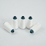 Polyester Sewing Thread Manufacturer - 2023 Wholesale High Tenacity 602 for Garment Luggage