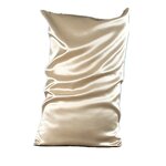 Silk Pillow case Supplier - OEM 22 mm Two Side 100% Mulberry