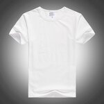 Election T-shirt Supplier - OEM Good Price Polyester Promotional