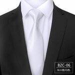 Men Ties Factory - OEM Hot Sell 8cm Cheap Business Man