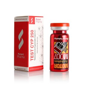 Glass Vial Manufacturer - OEM Custom 10ml Sterile Empty Vial