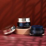 Acrylic Plastic Cream Jar Supplier - OEM Custom 30-50g Luxury