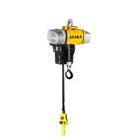 Electric Chain Hoist Manufacturer - Hoist Manufacturers 125KG Mini Best Quality