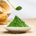 抹茶粉源头工厂 - 可定制绿茶代工
