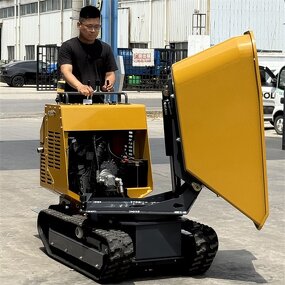 Hydraulic Mixing Dumper Factory - OEM with Concrete Mixer Track Box