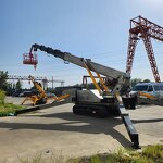 Hydraulic Spider Crane Factory - OEM Fast Shipping 12 Ton Diesel